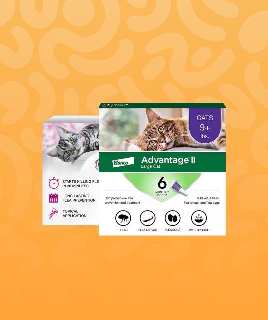 gimp mask - latex hood cleaning powder