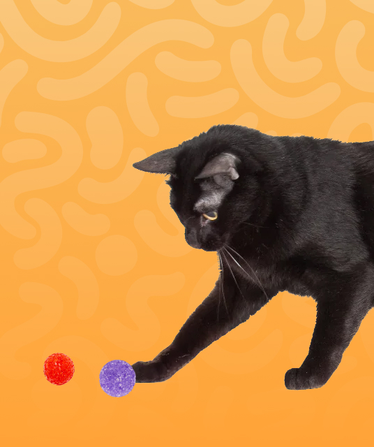 木村 都 那 - inner tunnel texture cross-section adult toy