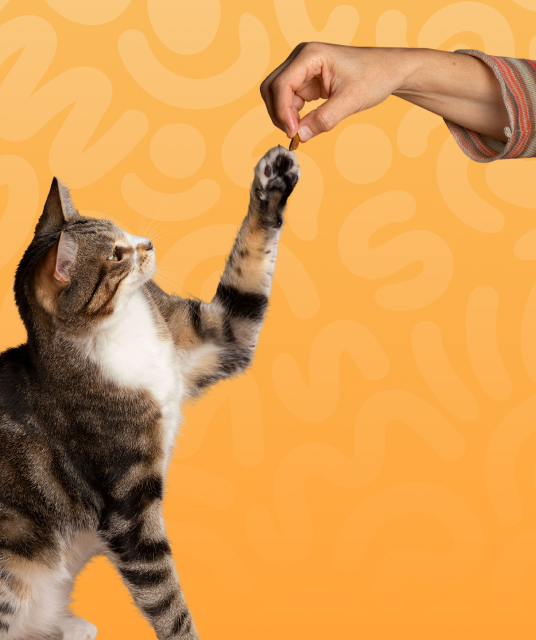 持久 安全套 - condom lubricant lab test 2025