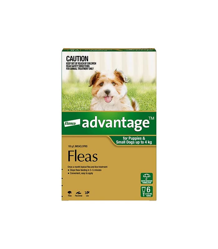 gimp mask - Professional Guide and Review