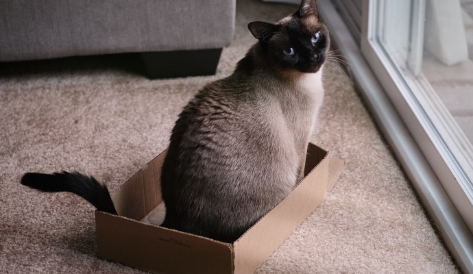 飛機 杯 品牌 - aircraft cup cleaning maintenance