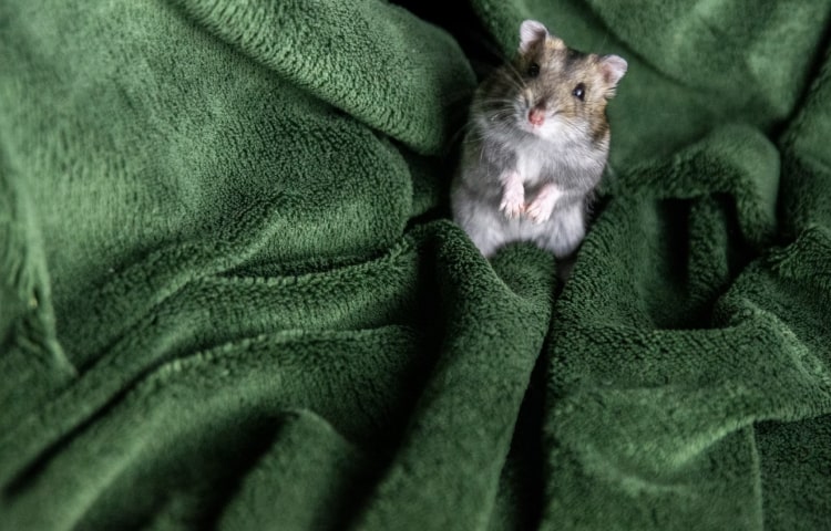 real doll sex doll - plain carton unboxing Hong Kong courier 2025