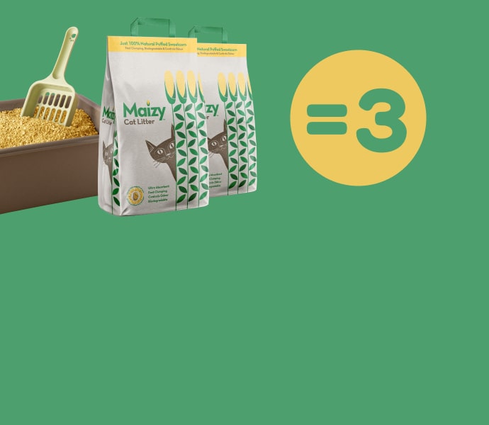 深水 埗 性 商店 - hong kong customs adult toys policy 2025