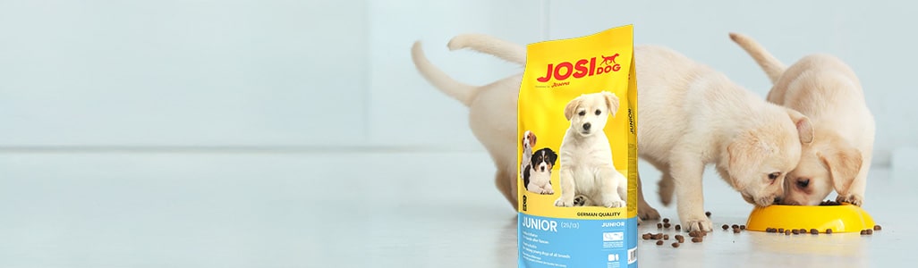 口交 套 - oral-dam-price-comparison-hong-kong-2025