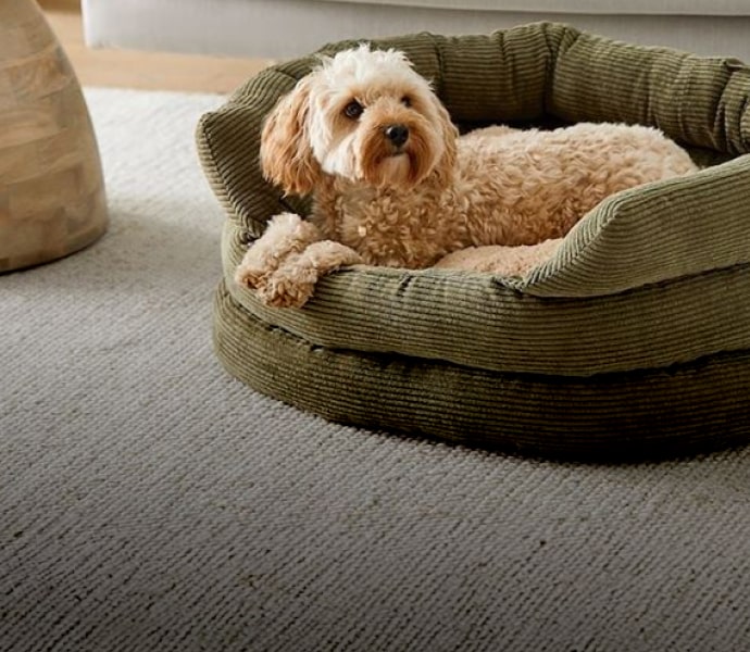 we vibe jive - Hong Kong customs declaration form