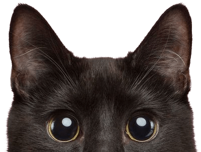 丁字 裤 - comparison of thong types seamless pearl antimicrobial